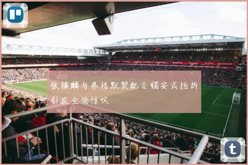 张镇麟与弗格默契配合锡安式挡拆引发全场惊叹